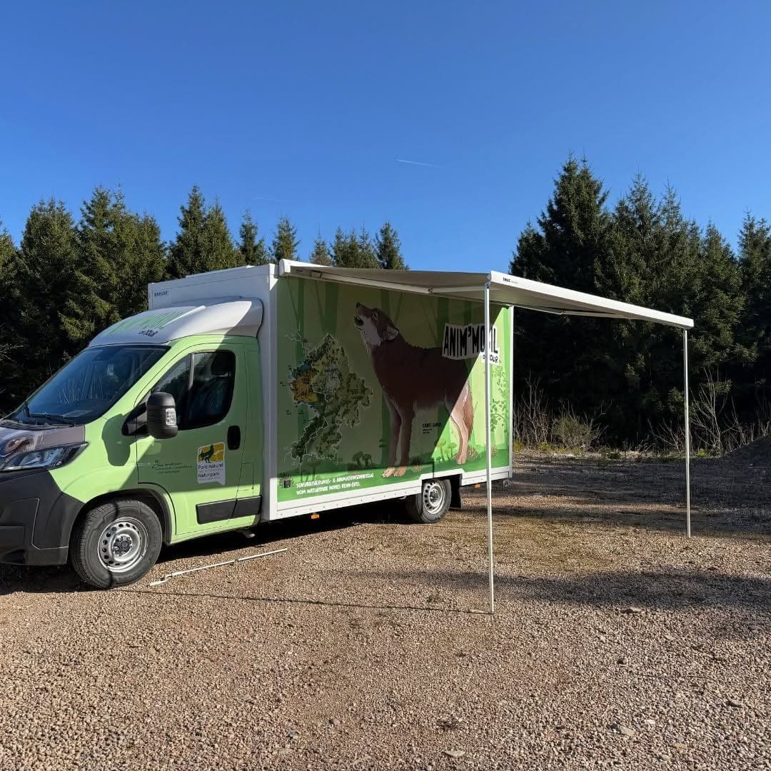Camion Anim'mobil du Parc naturel Hautes Fagnes-Eifel, auvent déployé sur le côté, habillage à la carte du parc et au loup